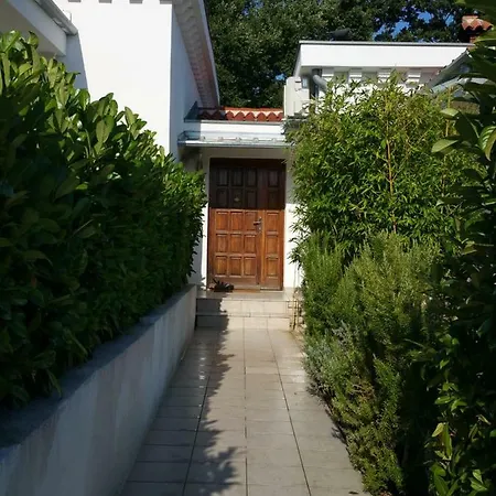 Vogt Nyaraló