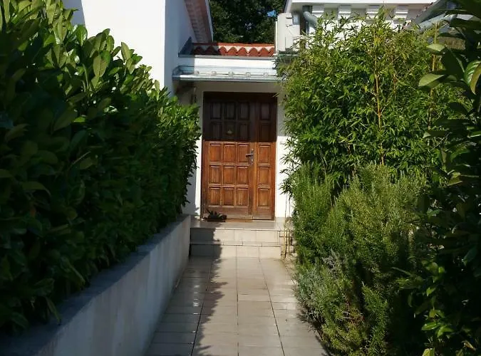 Vogt Ferienhaus