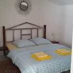 Vogt פורץ